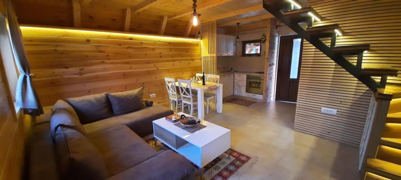 ŽabljakMountain House Bjanka别墅 外观 照片